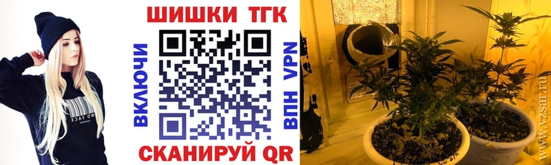 Канабис OG Kush Щёлково